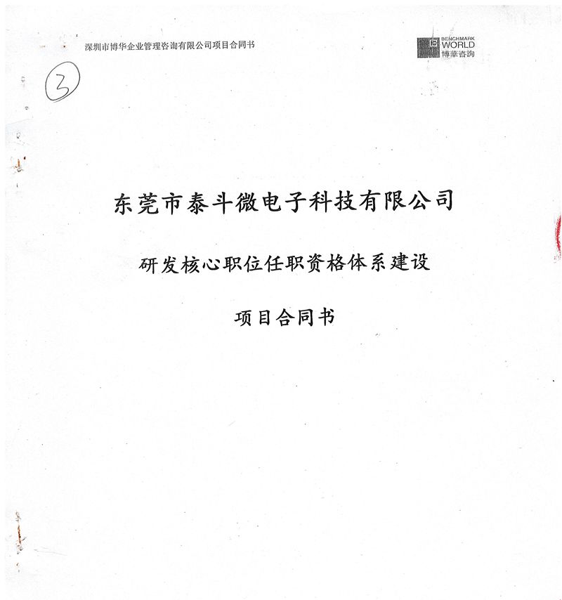 泰斗微电子研发核心职位任职资格体系建设项目