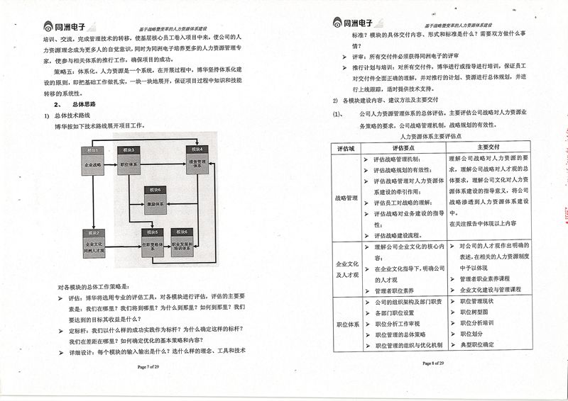 同洲电子基于战略暨变革的人力资源体系建设项目