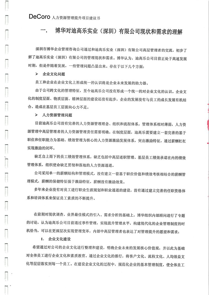 迪高乐人力资源管理提升咨询项目