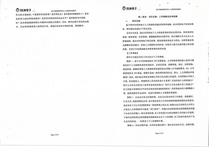 同洲电子基于战略暨变革的人力资源体系建设项目