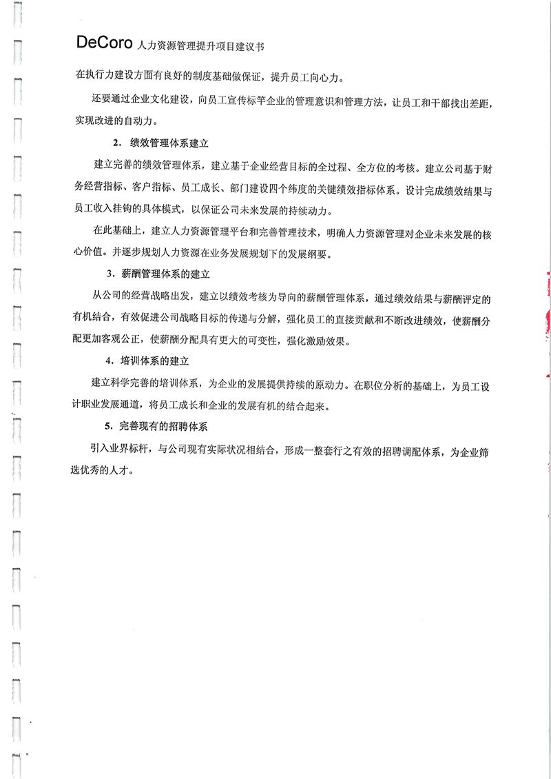 迪高乐人力资源管理提升咨询项目