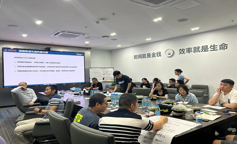 苏纳光电战略辅导项目（二期）
