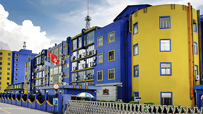 雅图仕流程再造项目（共二期）：以端到端业务流程优化提升印刷制造企业运营效率